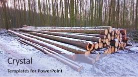  Presentation with bohemian - Presentation theme featuring firewood as a renewable energy background and a light blue colored foreground