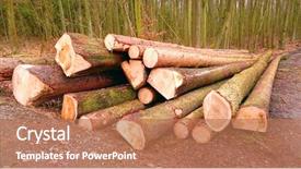  Presentation with energy source - Colorful presentation enhanced with firewood as a renewable energy backdrop and a coral colored foreground