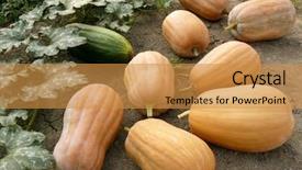  Presentation with first - Beautiful presentation theme featuring web development programming internet and technology concept backdrop and a coral colored foreground