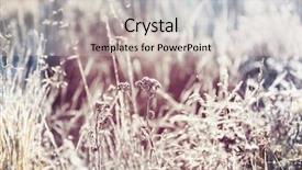  Presentation with frozen - Amazing slide set having first ski - close-up shot of the frozen backdrop and a  colored foreground