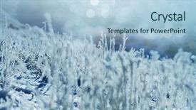  Presentation with close up shot - Audience pleasing slide set consisting of first ski - close-up shot of the frozen backdrop and a  colored foreground