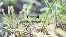  Presentation with close up shot - Beautiful slides featuring first ski - close-up shot of the frozen backdrop and a  colored foreground