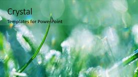  Presentation with frozen - Slides enhanced with first ski - close-up shot of the frozen background and a  colored foreground