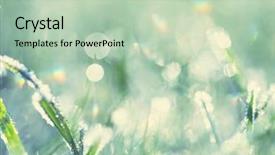  Presentation with close up shot - Beautiful presentation featuring first ski - close-up shot of the frozen backdrop and a mint green colored foreground