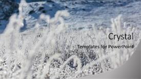  Presentation with close up shot - Amazing presentation having first ski - close-up shot of the frozen backdrop and a light gray colored foreground