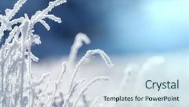  Presentation with close up shot - Colorful theme enhanced with first ski - close-up shot of the frozen backdrop and a sky blue colored foreground