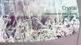  Presentation with frozen - PPT theme consisting of first ski - close-up shot of the frozen background and a sky blue colored foreground