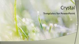  Presentation with close up shot - Theme having first ski - close-up shot of the frozen background and a soft green colored foreground