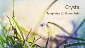  Presentation with frozen - Slides with first ski - close-up shot of the frozen background and a cream colored foreground