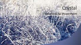  Presentation with close up shot - PPT theme enhanced with first ski - close-up shot of the frozen background and a  colored foreground