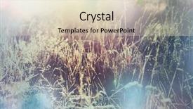  Presentation with frozen - Slides with first ski - close-up shot of the frozen background and a lemonade colored foreground