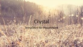  Presentation with frozen - Beautiful PPT layouts featuring first ski - close-up shot of the frozen backdrop and a coral colored foreground