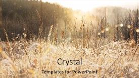  Presentation with close up shot - Cool new slides with first ski - close-up shot of the frozen backdrop and a  colored foreground