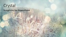  Presentation with frozen - Audience pleasing slide set consisting of first ski - close-up shot of the frozen backdrop and a  colored foreground