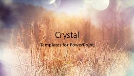  Presentation with close up shot - Theme enhanced with first ski - close-up shot of the frozen background and a  colored foreground