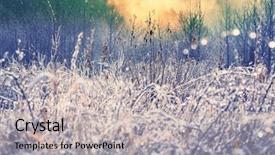  Presentation with frozen - PPT layouts featuring first ski - close-up shot of the frozen background and a soft green colored foreground