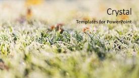  Presentation with close up shot - Presentation design consisting of first ski - close-up shot of the frozen background and a lemonade colored foreground