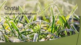  Presentation with frozen - Audience pleasing PPT theme consisting of first ski - close-up shot of the frozen backdrop and a  colored foreground