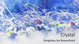  Presentation with close up shot - Theme having first ski - close-up shot of the frozen background and a  colored foreground