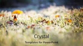  Presentation with close up shot - Beautiful slide set featuring first ski - close-up shot of the frozen backdrop and a  colored foreground