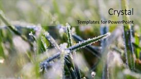  Presentation with frozen - PPT theme consisting of first ski - close-up shot of the frozen background and a  colored foreground