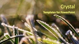  Presentation with frozen - PPT theme enhanced with first ski - close-up shot of the frozen background and a  colored foreground