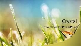  Presentation with close up shot - Audience pleasing PPT layouts consisting of first ski - close-up shot of the frozen backdrop and a  colored foreground