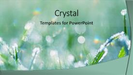  Presentation with frozen - Presentation design featuring first ski - close-up shot of the frozen background and a mint green colored foreground