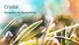  Presentation with close up shot - Beautiful PPT theme featuring first ski - close-up shot of the frozen backdrop and a  colored foreground