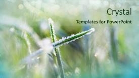  Presentation with frozen - Audience pleasing PPT layouts consisting of first ski - close-up shot of the frozen backdrop and a  colored foreground