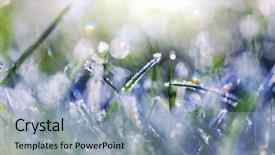  Presentation with close up shot - Slides having first ski - close-up shot of the frozen background and a  colored foreground