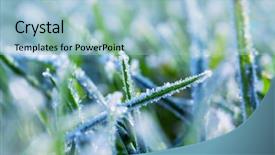  Presentation with close up shot - Colorful PPT theme enhanced with first ski - close-up shot of the frozen backdrop and a  colored foreground