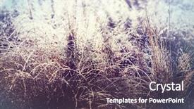  Presentation with frozen - Theme enhanced with first ski - close-up shot of the frozen background and a  colored foreground