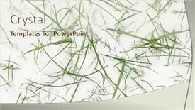  Presentation with first - PPT layouts with first snow concept green grass in first unexpectable snow in the autumn background and a sky blue colored foreground