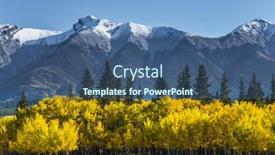  Presentation with green foliage - PPT theme with first-snow-has-already-fallen background and a ocean colored foreground