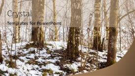  Presentation with first - Beautiful slides featuring first-snow-in-a-birch backdrop and a coral colored foreground