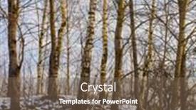  Presentation with first - Colorful PPT layouts enhanced with first-snow-in-a-birch backdrop and a violet colored foreground