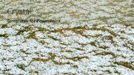  Presentation with first - Cool new PPT layouts with first-snow-on-the-green backdrop and a mint green colored foreground