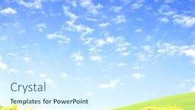  Presentation with yellow orange - Colorful PPT theme enhanced with first-spring-wildflowers-yellow-white backdrop and a sky blue colored foreground