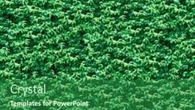  Presentation with continuous - Slide deck consisting of firtree seamless background seamless pattern for continuous replicate background and a forest green colored foreground