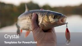  Presentation with medical assistant pediatric field - PPT theme enhanced with catching fish - chub in fisherman's hand small background and a violet colored foreground