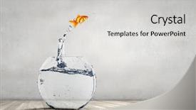  Presentation with fish aquarium - PPT theme consisting of fish - goldfish jumping from aquarium background and a light gray colored foreground