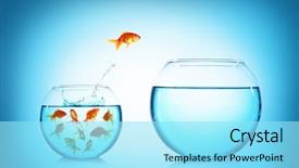  Presentation with fish aquarium - Slide deck with fish - goldfish jumping from glass aquarium background and a arctic colored foreground