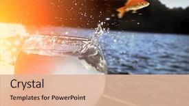  Presentation with goldfish jumping out - Colorful slide set enhanced with fish - goldfish jumping backdrop and a lemonade colored foreground