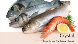  Presentation with seafood - Colorful theme enhanced with fish - seafood isolated on white backround backdrop and a coral colored foreground