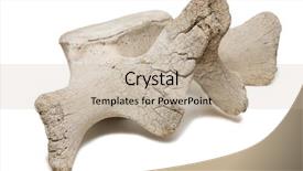  Presentation with russia city - Presentation design featuring fish anatomy - vertebra whale skeleton inhabits background and a mint green colored foreground