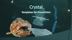  Presentation with sea plastic - Colorful theme enhanced with fish and plastic pollution backdrop and a tawny brown colored foreground