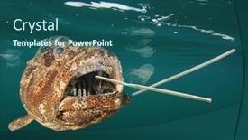  Presentation with sea plastic - Slides featuring fish-and-plastic-pollution background and a ocean colored foreground