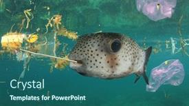  Presentation with sea plastic - Slide set featuring fish-and-plastic-pollution background and a ocean colored foreground