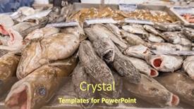  Presentation with seafood - PPT layouts with fish-and-seafood-section background and a tawny brown colored foreground